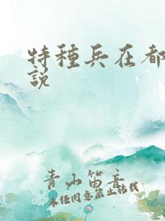 特种兵在都市小说