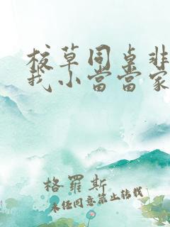 校草同桌非要撩我小当当家