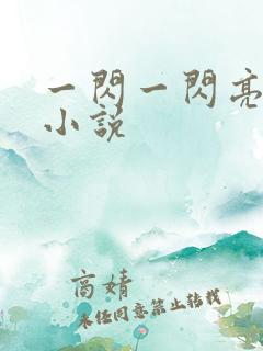 一闪一闪亮星星小说