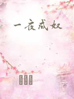 一夜成奴