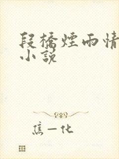 段桥烟雨情难离小说