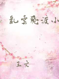乱云飞渡小说