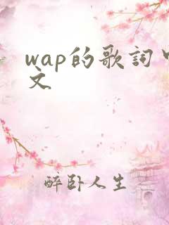wap的歌词中文