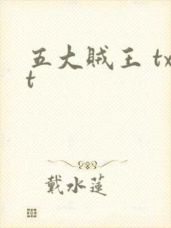 五大贼王 txt