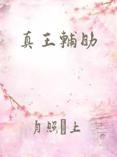 真王辅助