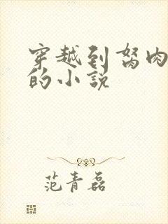 穿越到胬肉系统的小说