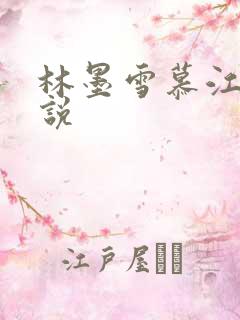 林墨雪慕江行小说