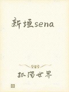 新垣sena