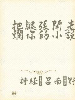 把腿张开老子臊烂你的小说