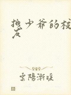 拽少爷的校花女友