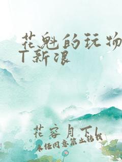 花魁的玩物TXT新浪