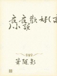 夜夜欢好(高h)小说