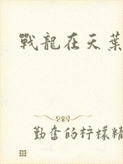 战龙在天叶凡