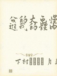 公的大龟慢慢挺进我的体内视频