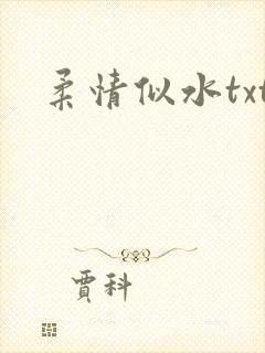 柔情似水txt
