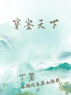 宝鉴天下