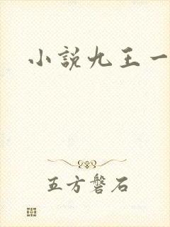 小说九王一后
