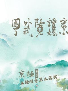 国外陪读密友成了我儿媳小说