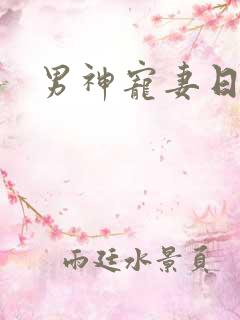 男神宠妻日常