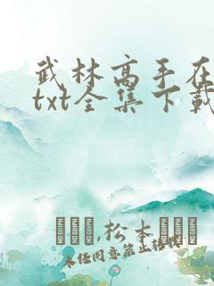 武林高手在异世txt全集下载