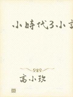 小时代3小说