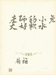 老师的小兔子好大好软水