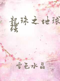 龙珠之地球人最强