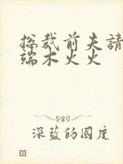 总裁前夫请自重端木火火