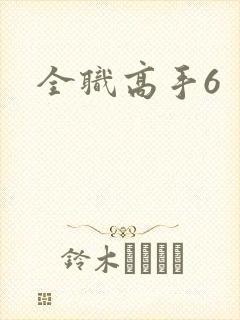 全职高手6