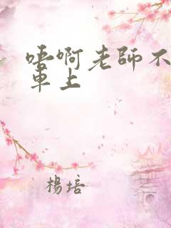 唔啊老师不可以车上