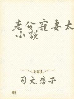 老公宠妻太甜蜜 小说