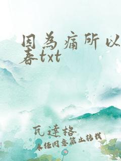 因为痛所以叫青春txt