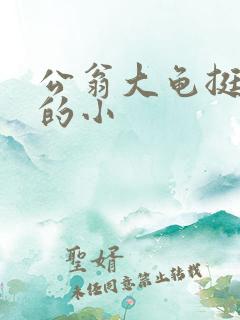 公翁大龟挺进我的小