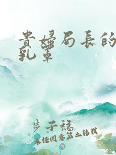 贵妇局长的蕾丝乳罩