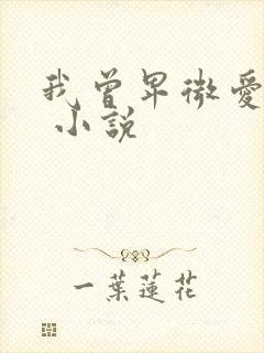 我曾卑微爱过你 小说