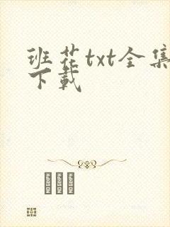 班花txt全集下载