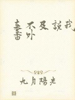 来不及说我爱你番外