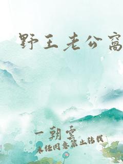 野王老公窝