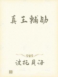 真王辅助