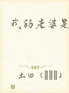 我的老婆是军阀