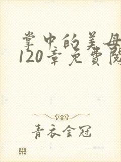 掌中的美母版主120章免费阅读