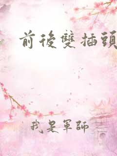 前后双插头互攻