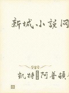 新城小说网