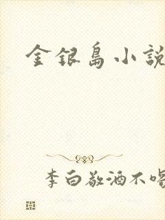 金银岛小说