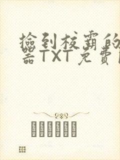 捡到校霸的遥控器TXT免费阅读