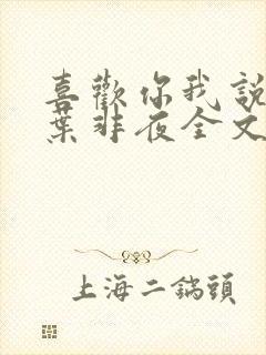 喜欢你我说了算叶非夜全文免费阅读