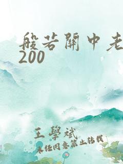 般若关中老人5200