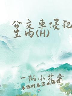 公交车侵犯小男生肉(H)