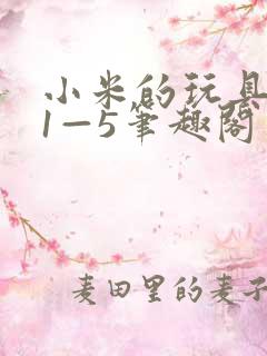 小米的玩具日记1—5笔趣阁