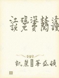 江砚深林清浅小说免费阅读